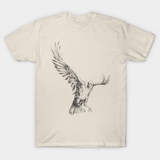 Crow T-Shirt